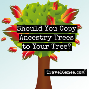 copy-ancestry-trees