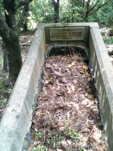 James Miller Ireland Grave