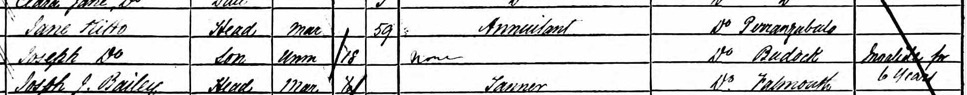 1881-census-extract-jane-kitto