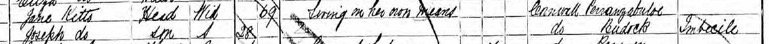 1891-census-extract-jane-kitto