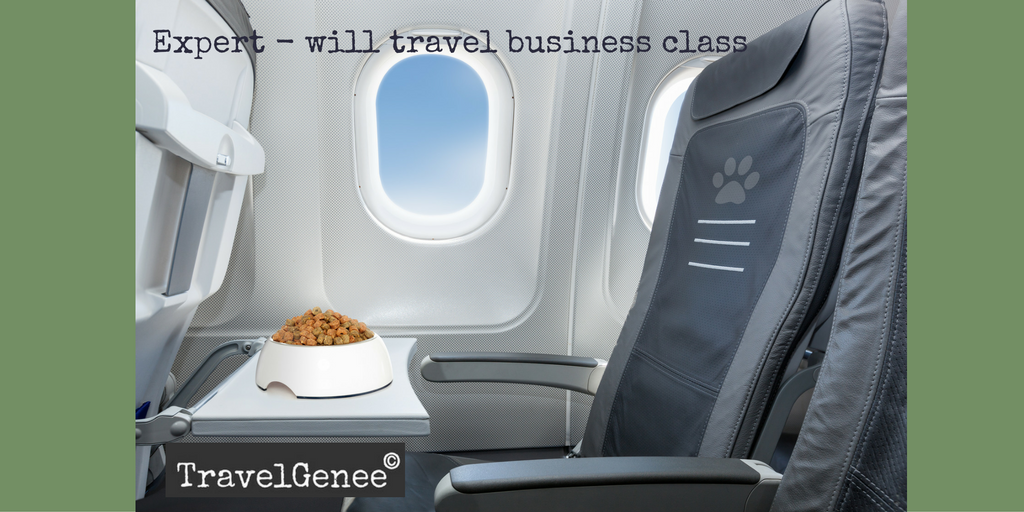 Have blog will travel business class