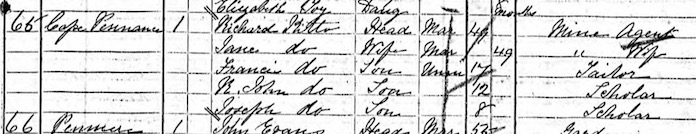 Falmout Census 1871 Extract