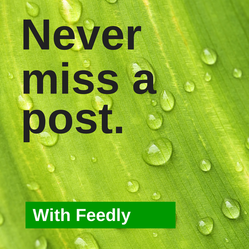 Never miss a post with feedly