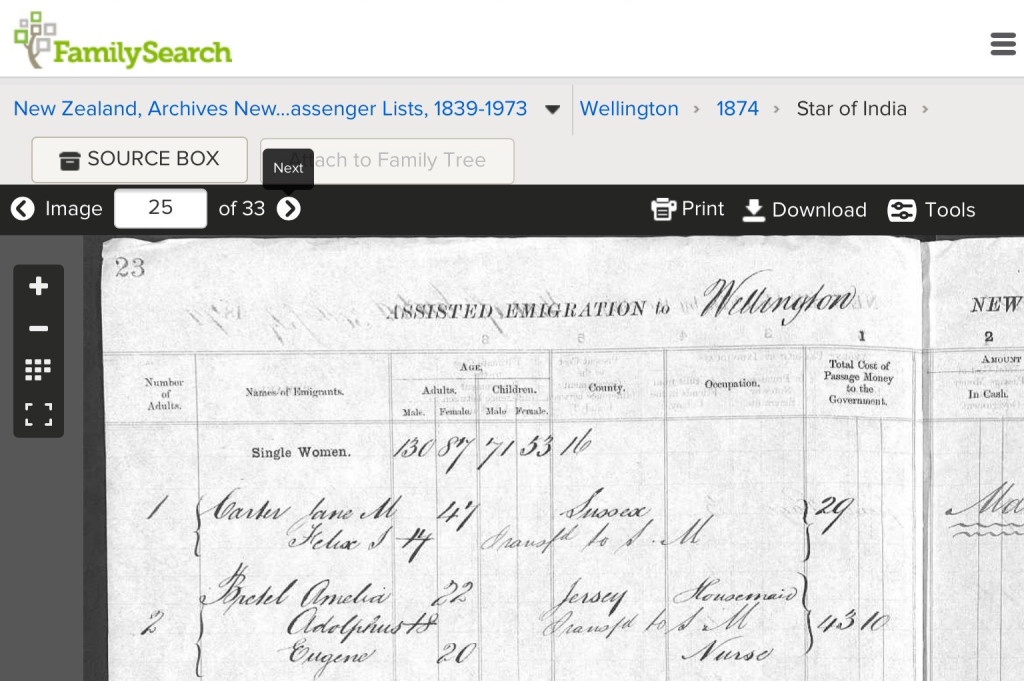 Amelia Bretel with Eugene and Adolphus Passenger List to NZ 1874