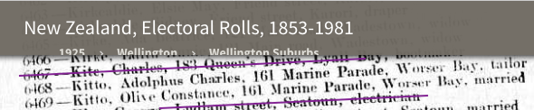 Electoral Roll 1925